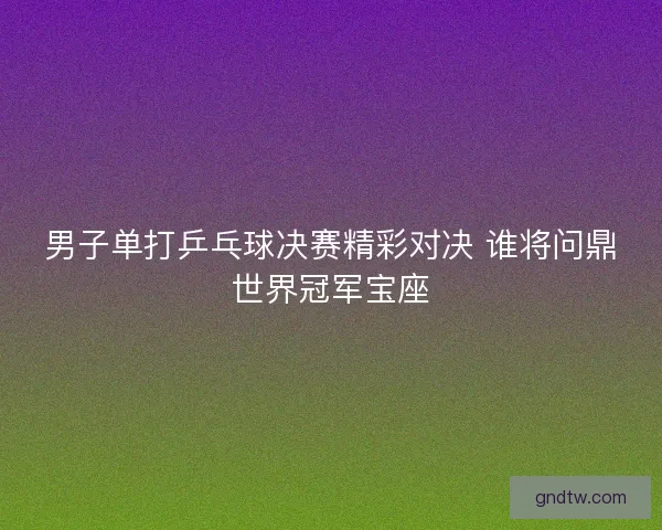 男子单打乒乓球决赛精彩对决 谁将问鼎世界冠军宝座